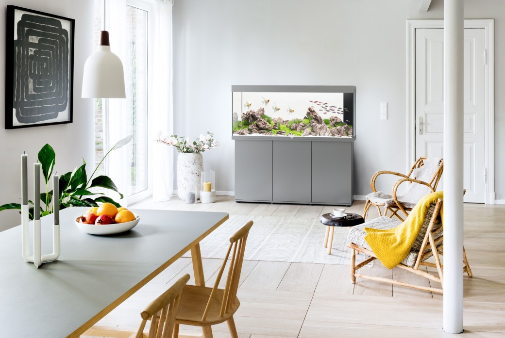  Rio450-grau-Ambiente-1-2023