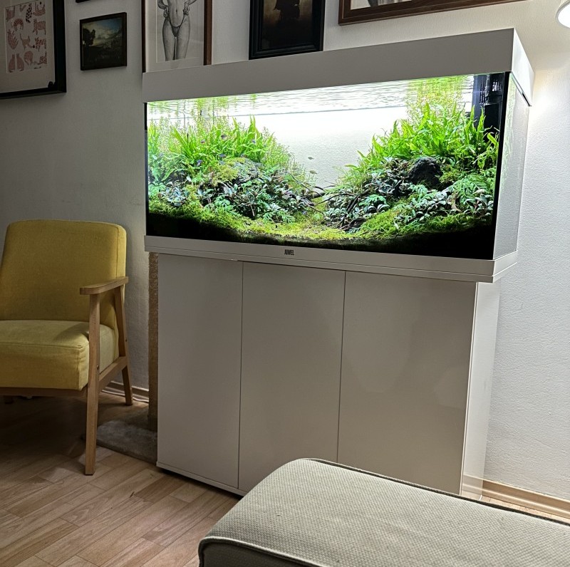 rio180_biale_blog_800pxfix