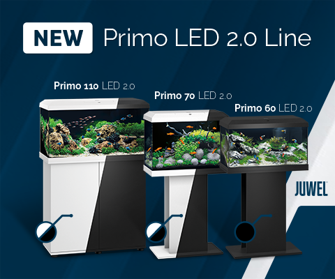 PRIMO LED 2.0 LINE