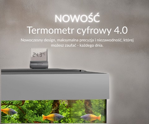 Termometr