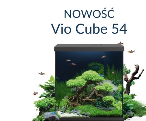 Vio Cube 54 - NOWOŚĆ