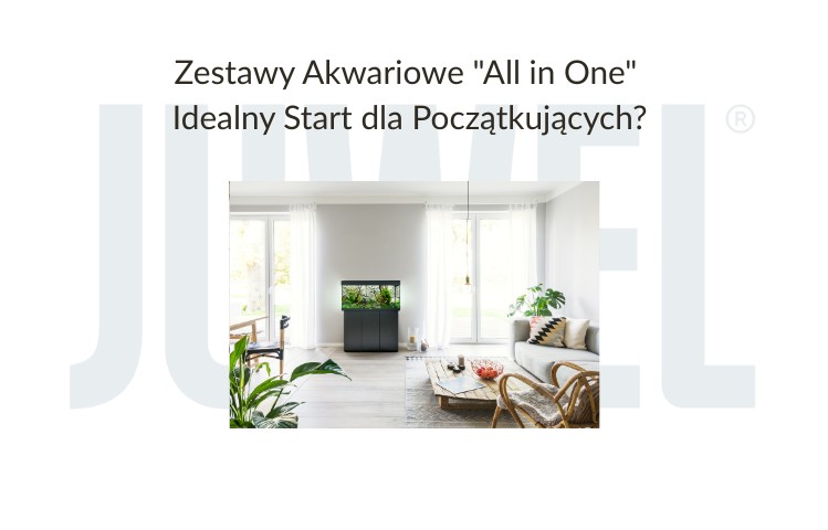 Zestawy Akwariowe "All in One" - Idealny Start dla Początkujących? 