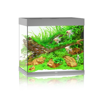 Akwarium Juwel Lido 200 LED szare (2x belka)