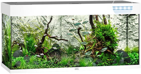 Akwarium Juwel Rio 180 LED białe