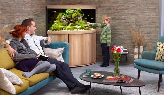 Akwarium Juwel Trigon 350 jasne drewno (dąb) HeliaLux Spectrum