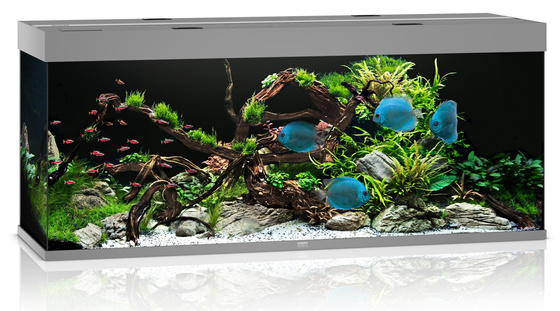 Juwel Rio 450 LED szare (2x belka) akwarium z szafką