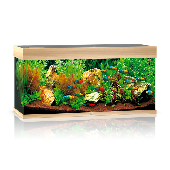 Juwel Rio 180 LED jasne drewno (dąb) (2x belka) akwarium z szafką