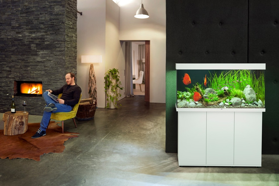 Juwel Rio 350 LED białe (2x belka) akwarium z szafką