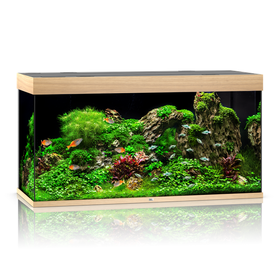 Juwel Rio 350 jasne drewno (dąb) HeliaLux Spectrum akwarium z szafką