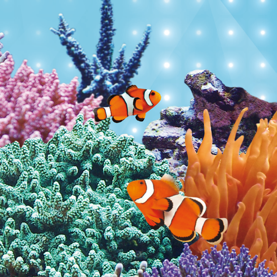 Świetlówka Juwel Blue LED 438 mm