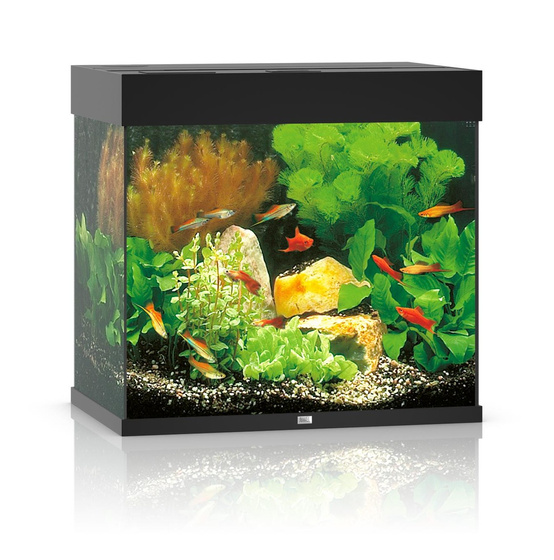 Juwel Lido 120 czarne HeliaLux Spectrum akwarium z szafką