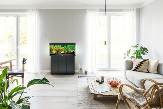 Juwel Rio 180 LED czarne (2x belka) akwarium z szafką