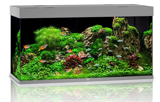 Juwel Rio 350 LED szare (2x belka) akwarium z szafką