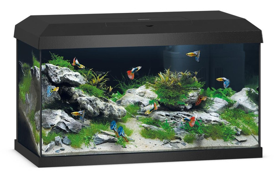 Juwel Primo 60 LED 2.0 czarne akwarium z podstawą