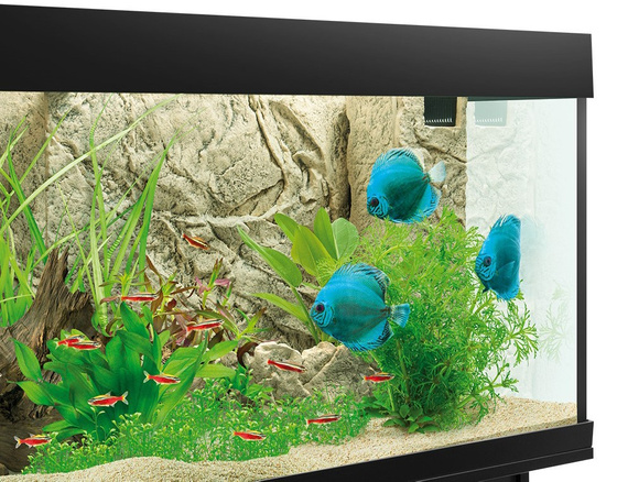 Dekoracyjna osłona filtra Juwel Cliff Light (jasna)