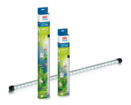 NovoLux LED 60 biały - moduł oświetleniowy Juwel