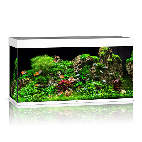 Juwel Rio 350 białe HeliaLux Spectrum (2x belka) akwarium z szafką