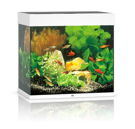 Juwel Lido 120 LED białe akwarium z szafką