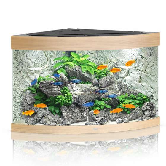 Juwel Trigon 190 LED jasne drewno (dąb) akwarium z szafką