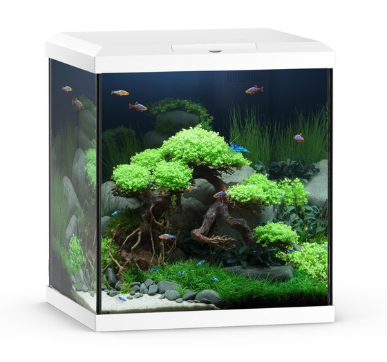 Akwarium Vio Cube 54 białe