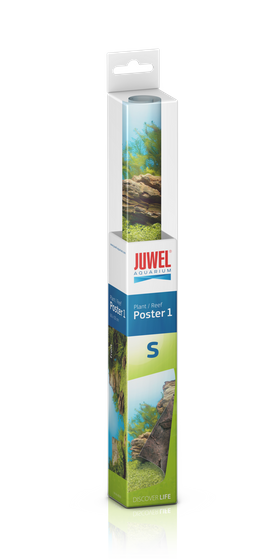 Fototapeta Juwel Poster 1 S