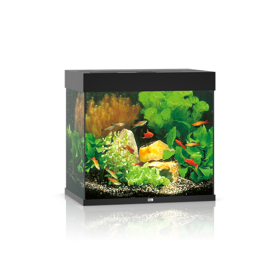 Akwarium Juwel Lido 120 LED czarne