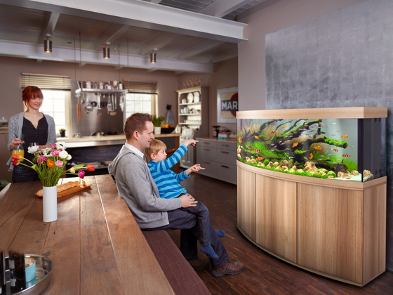 Akwarium Juwel Vision 450 LED jasne drewno (dąb)