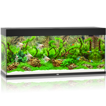 Akwarium Juwel Rio 240 czarne HeliaLux Spectrum
