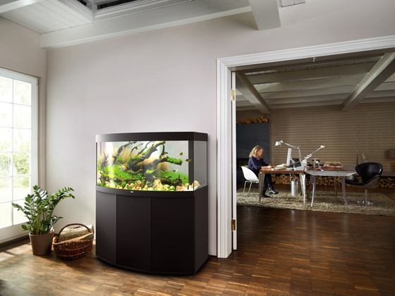 Akwarium Juwel Vision 260 LED czarne