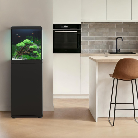 Juwel Vio Cube 54 czarne akwarium z szafką