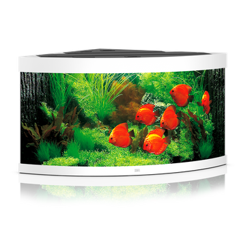 Akwarium Juwel Trigon 350 białe HeliaLux Spectrum