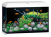 Juwel Primo 70 LED 2.0 białe akwarium z szafką