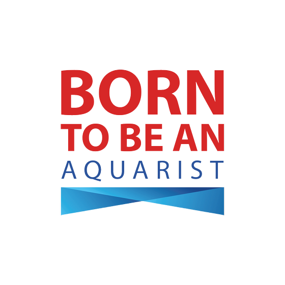 Body dziecięce BORN TO BE AN AQUARIST 66-76