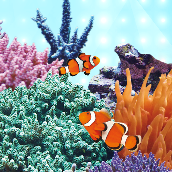 Świetlówka Juwel Marine LED 742 mm