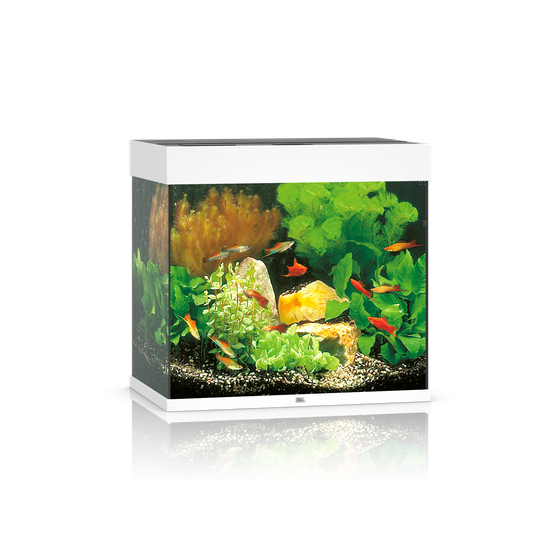 Akwarium Juwel Lido 120 białe HeliaLux Spectrum