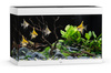 Akwarium Juwel Rio 290 LED białe (2x belka)