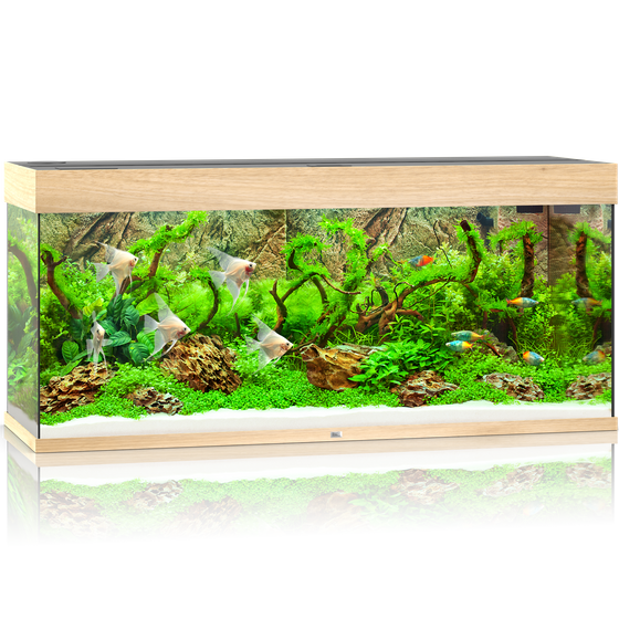 Juwel Rio 240 jasne drewno HeliaLux Spectrum (2x belka) akwarium z szafką
