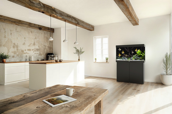 Akwarium Juwel Rio 290 czarne HeliaLux Spectrum