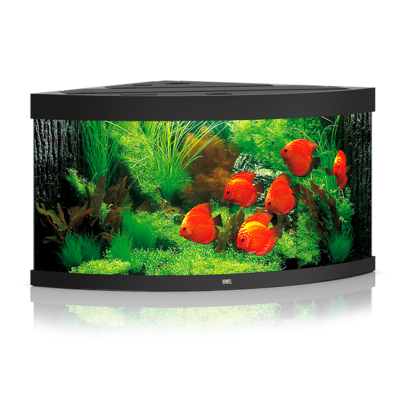 Juwel Trigon 350 czarny HeliaLux Spectrum akwarium z szafką