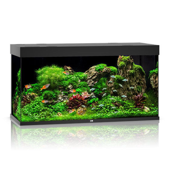 Juwel Rio 350 LED czarne (2x belka) akwarium z szafką