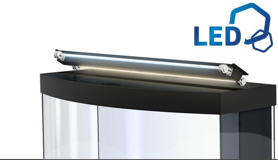 Juwel Vision 260 LED białe akwarium z szafką