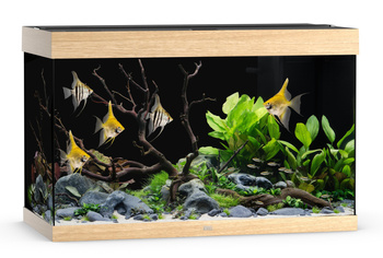 Akwarium Juwel Rio 290 LED jasne drewno (dąb)