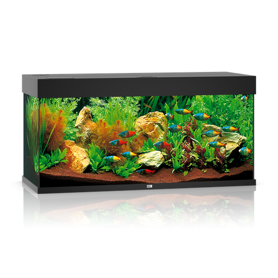 Juwel Rio 180 czarne HeliaLux Spectrum akwarium z szafką