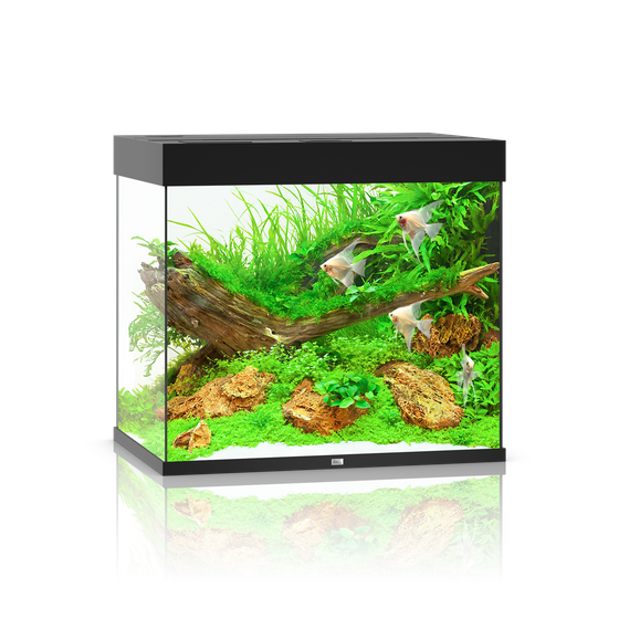 Juwel Lido 200 LED czarne (2x belka) akwarium z szafką