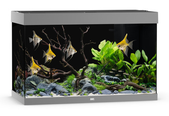 Akwarium Juwel Rio 290 szare HeliaLux Spectrum