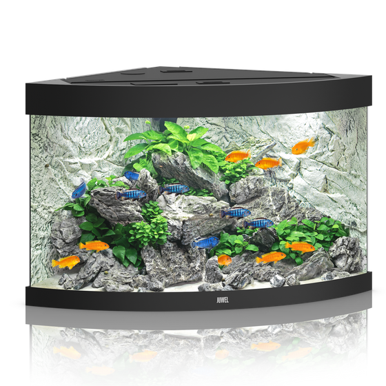 Juwel Trigon 190 czarne HeliaLux Spectrum akwarium z szafką