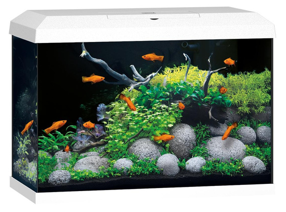 Juwel Primo 70 LED 2.0 białe akwarium z szafką