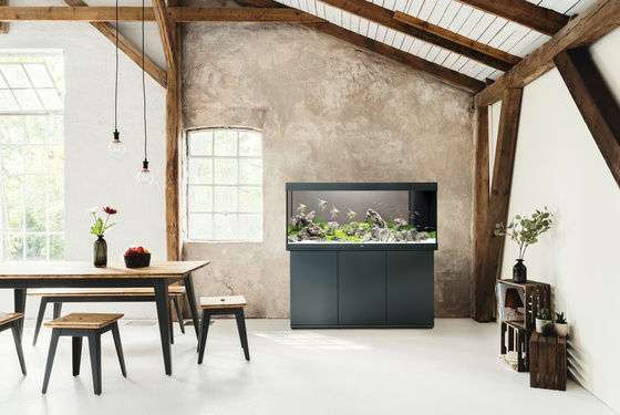 Akwarium Juwel Rio 450 czarne HeliaLux Spectrum