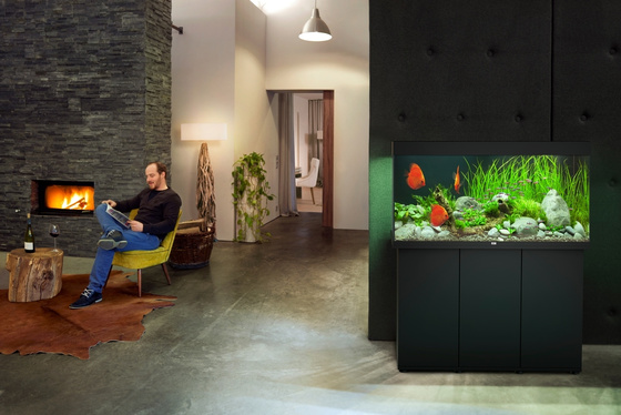 Juwel Rio 350 czarne HeliaLux Spectrum akwarium z szafką