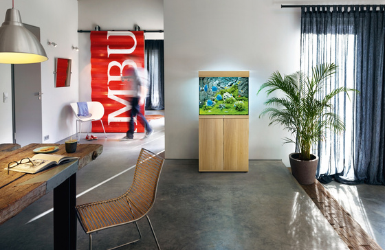 Akwarium Juwel Lido 200 LED jasne drewno (dąb) (2x belka)